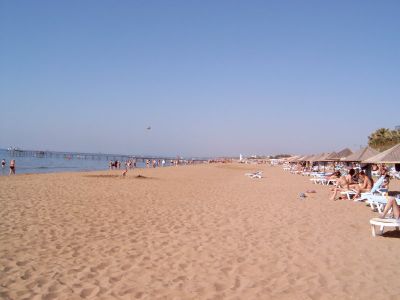 G&uuml;ndogdu